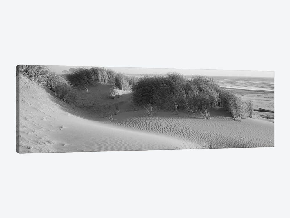 Grass on the beach, Pacific Ocean, Bandon State Natural Area, Bandon, Oregon, USA by Panoramic Images 1-piece Canvas Art