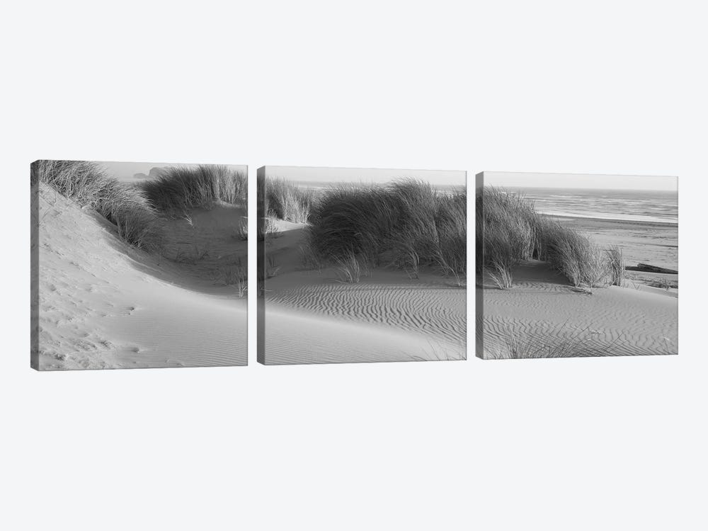 Grass on the beach, Pacific Ocean, Bandon State Natural Area, Bandon, Oregon, USA by Panoramic Images 3-piece Canvas Wall Art