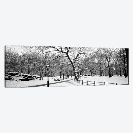 Bare trees during winter in a park, Central Park, Manhattan, New York City, New York State, USA Canvas Print #PIM11892} by Panoramic Images Canvas Art
