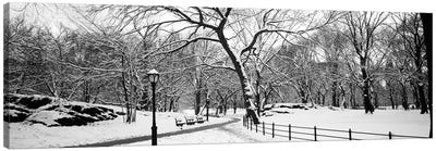 Bare trees during winter in a park, Central Park, Manhattan, New York City, New York State, USA Canvas Art Print - Central Park
