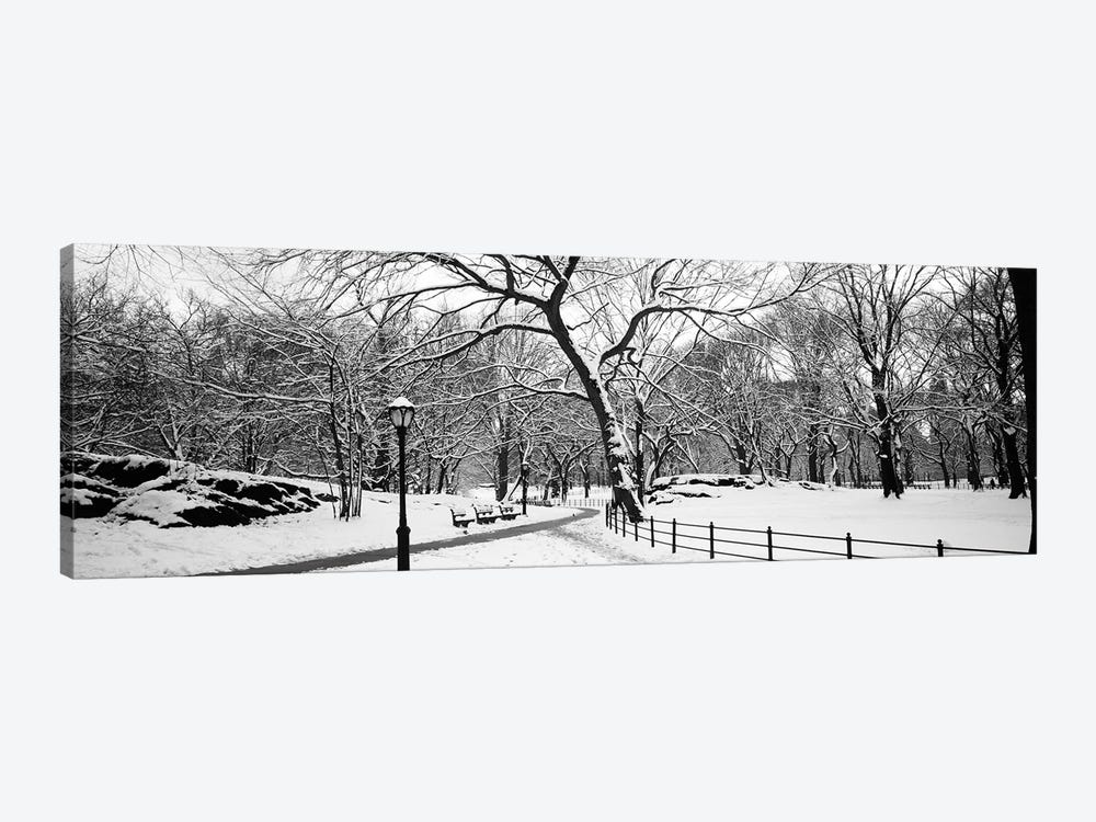 Bare trees during winter in a park, Central Park, Manhattan, New York City, New York State, USA by Panoramic Images 1-piece Canvas Art