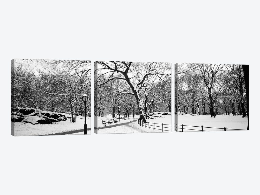 Bare trees during winter in a park, Central Park, Manhattan, New York City, New York State, USA by Panoramic Images 3-piece Canvas Art
