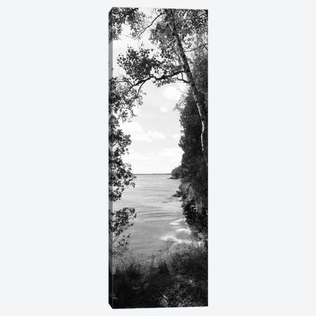 Trees at the lakeside, Cave Point County Park, Lake Michigan, Door County, Wisconsin, USA Canvas Print #PIM11903} by Panoramic Images Canvas Artwork