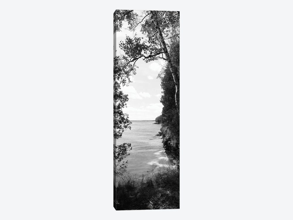 Trees at the lakeside, Cave Point County Park, Lake Michigan, Door County, Wisconsin, USA by Panoramic Images 1-piece Art Print