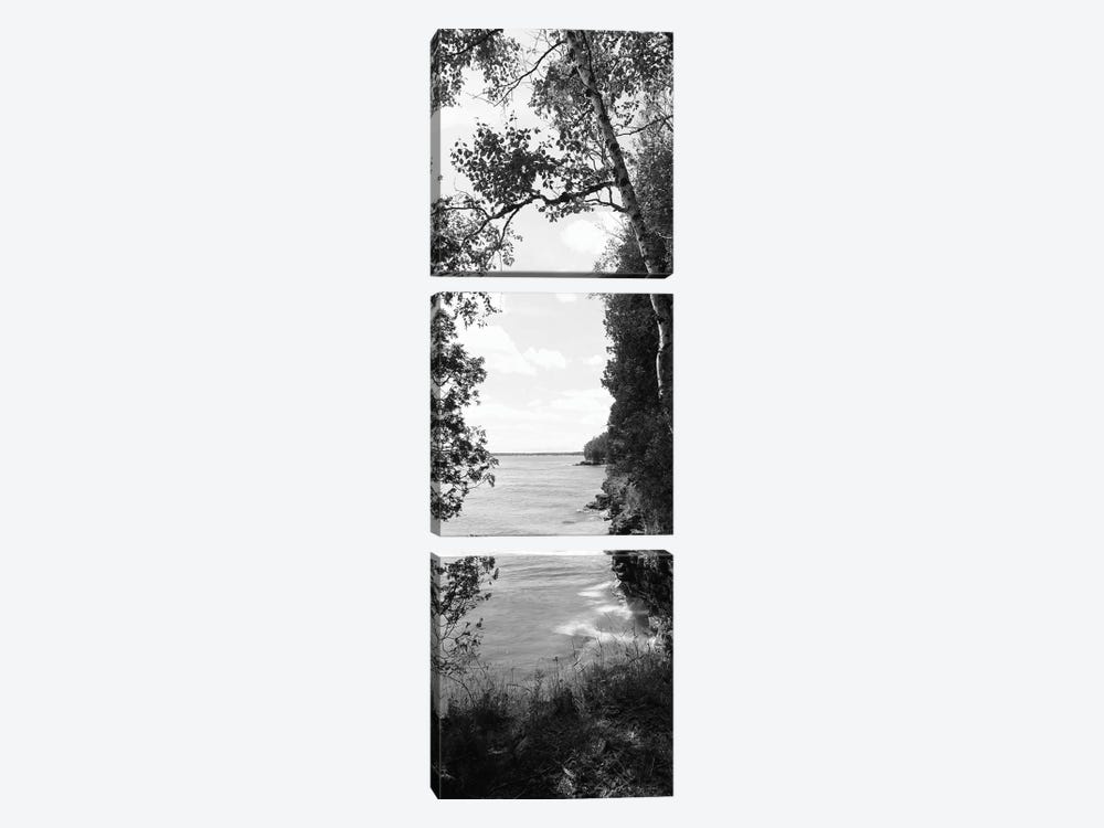 Trees at the lakeside, Cave Point County Park, Lake Michigan, Door County, Wisconsin, USA by Panoramic Images 3-piece Canvas Print