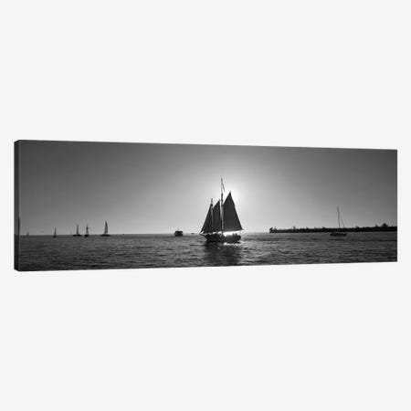 Sailboat, Key West, Florida, USA Canvas Print #PIM11904} by Panoramic Images Canvas Art Print