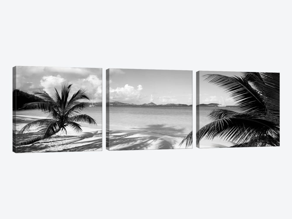 Palm trees on the beach, US Virgin Islands, USA by Panoramic Images 3-piece Canvas Art Print