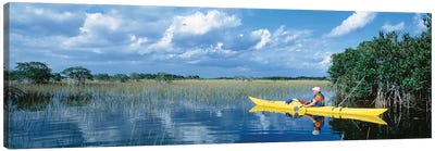 Kayaker In Everglades National Park, Florida, USA Canvas Art Print - Everglades National Park