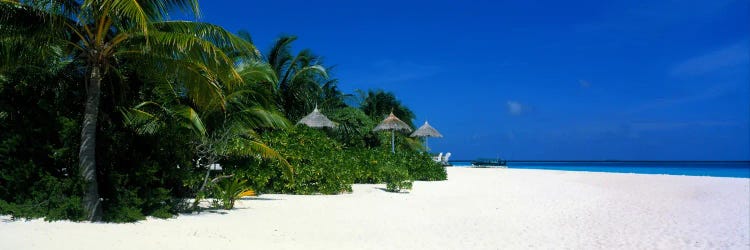 Beach Scene The Maldives