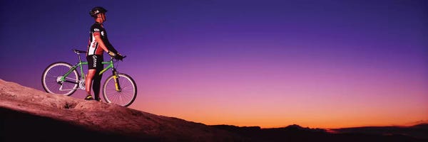 Moab: Mountain Biker Slickrock Trail Moab UT by Panoramic Images
