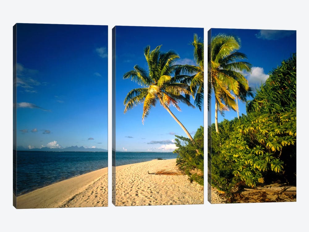 Tahiti French Polynesia by Panoramic Images 3-piece Canvas Art Print