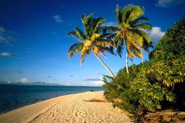 Tahiti French Polynesia Ver. II