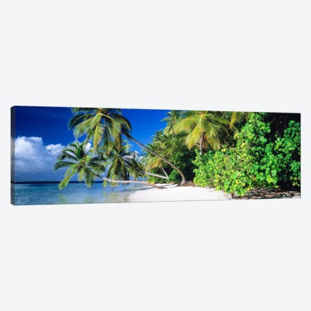 Palm Beach The Maldives Canvas Print #PIM1204} by Panoramic Images Canvas Wall Art