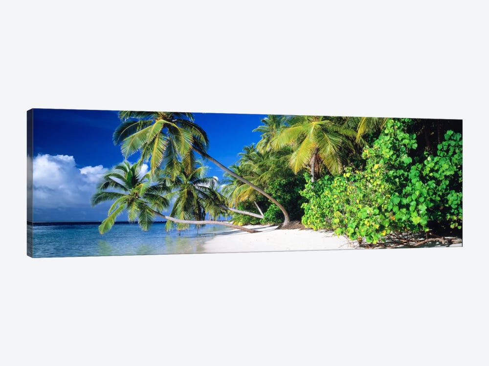 Palm Beach The Maldives by Panoramic Images 1-piece Canvas Print