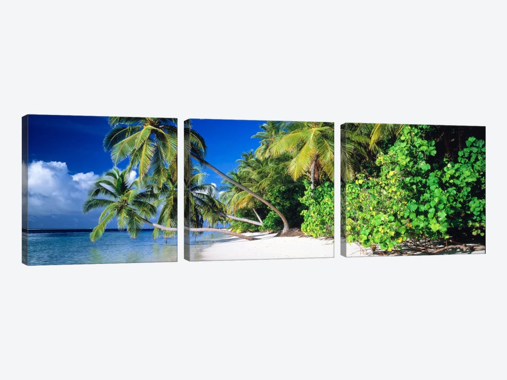 Palm Beach The Maldives by Panoramic Images 3-piece Art Print