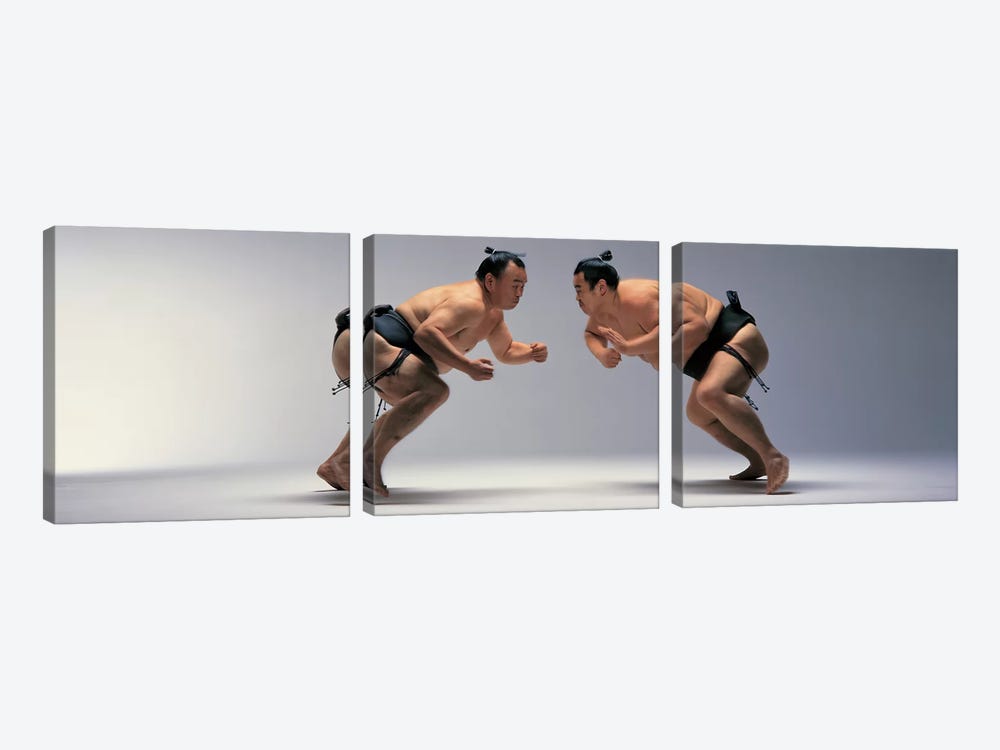 Sumo Wrestlers Japan by Panoramic Images 3-piece Canvas Wall Art