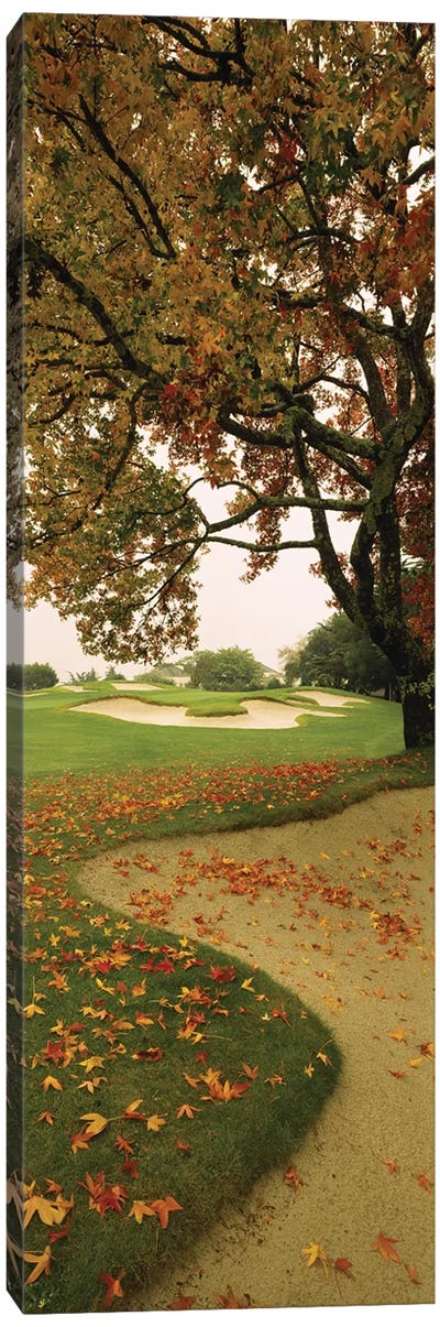 Golf Course CA USA Canvas Art Print - Golf Art