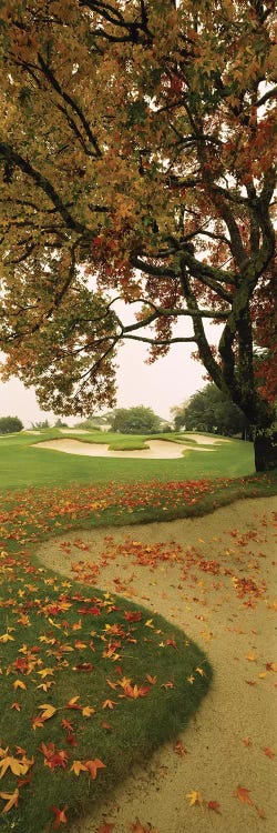 Golf Course CA USA