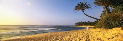 Surfer on Beach HI by Panoramic Images canvas print