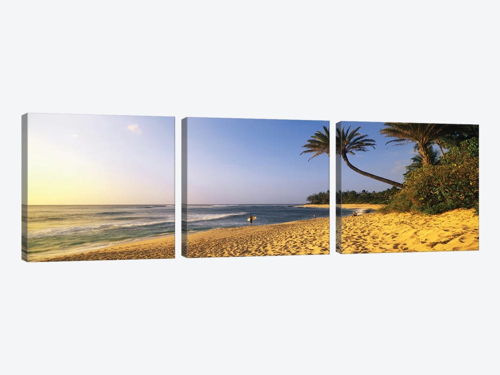 Surfer on Beach HI by Panoramic Images 3-piece Canvas Art Print
