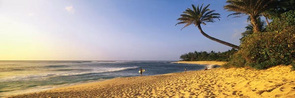 Hawaii: Surfer on Beach HI by Panoramic Images