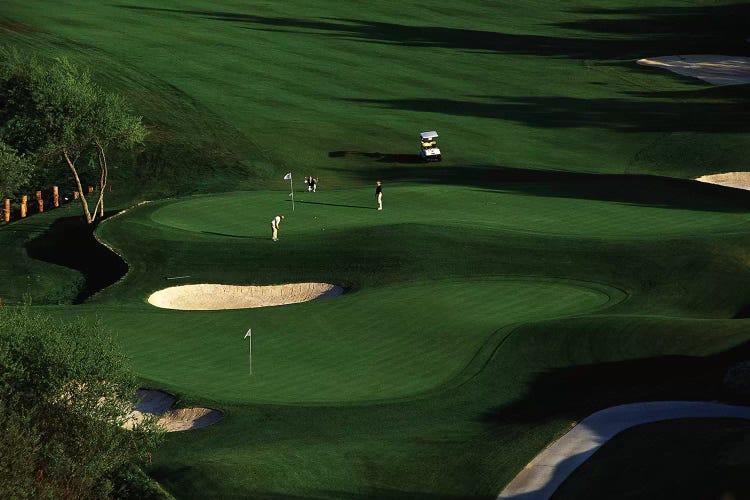 Golfer Putting on the Green