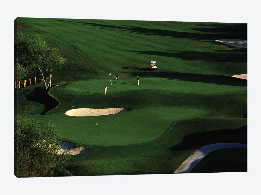 Golfer Putting on the Green by Panoramic Images 1-piece Art Print