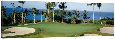 Oceanside Green, Maui, Hawaii, USA Canvas Art Print - Golf Art