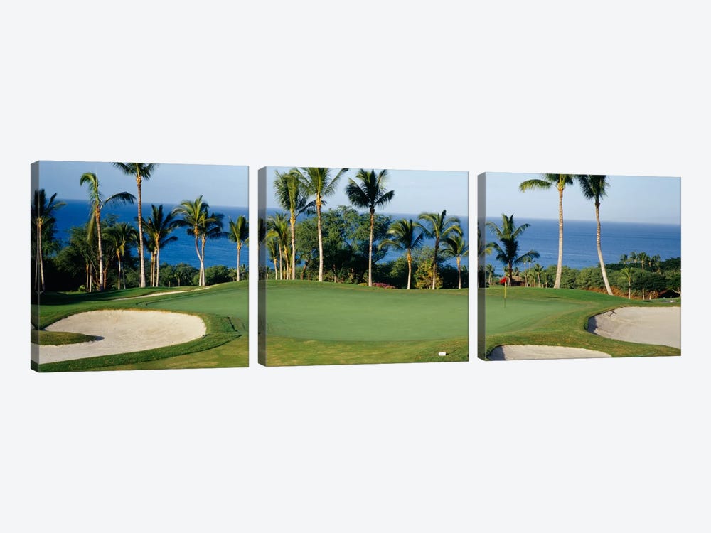 Oceanside Green, Maui, Hawaii, USA by Panoramic Images 3-piece Canvas Artwork