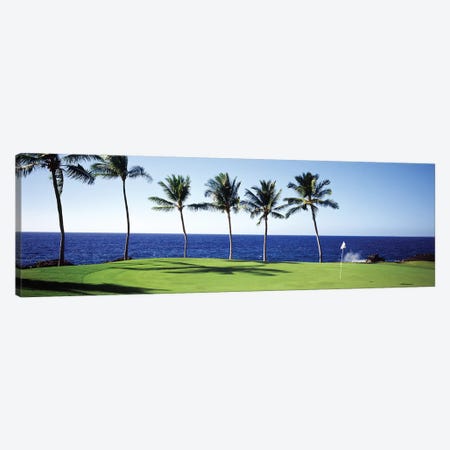 Golf Course Big Island HI Canvas Print #PIM12177} by Panoramic Images Canvas Art