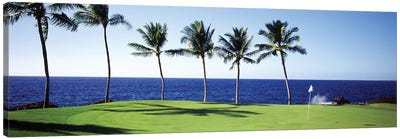Golf Course Big Island HI Canvas Art Print - The Big Island (Island of Hawai'i)