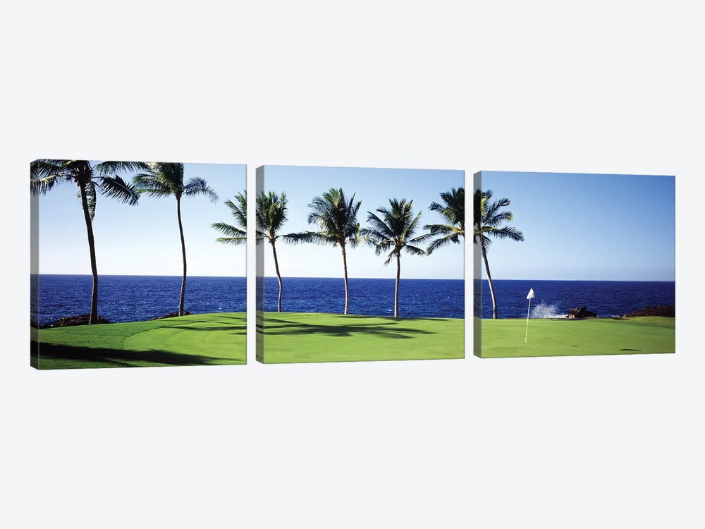 Golf Course Big Island HI by Panoramic Images 3-piece Art Print