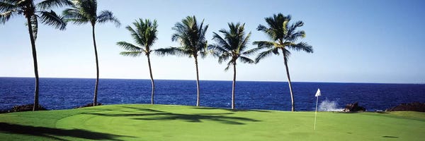 Hawaii: Golf Course Big Island HI by Panoramic Images