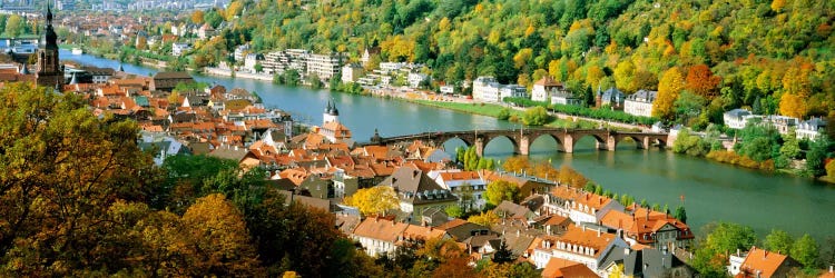 Aerial view of a city at the riversideHeidelberg Castle, Heidelberg, Baden-Wurttemberg, Germany