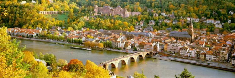 Aerial view of a city at the riversideHeidelberg Castle, Heidelberg, Baden-Wurttemberg, Germany