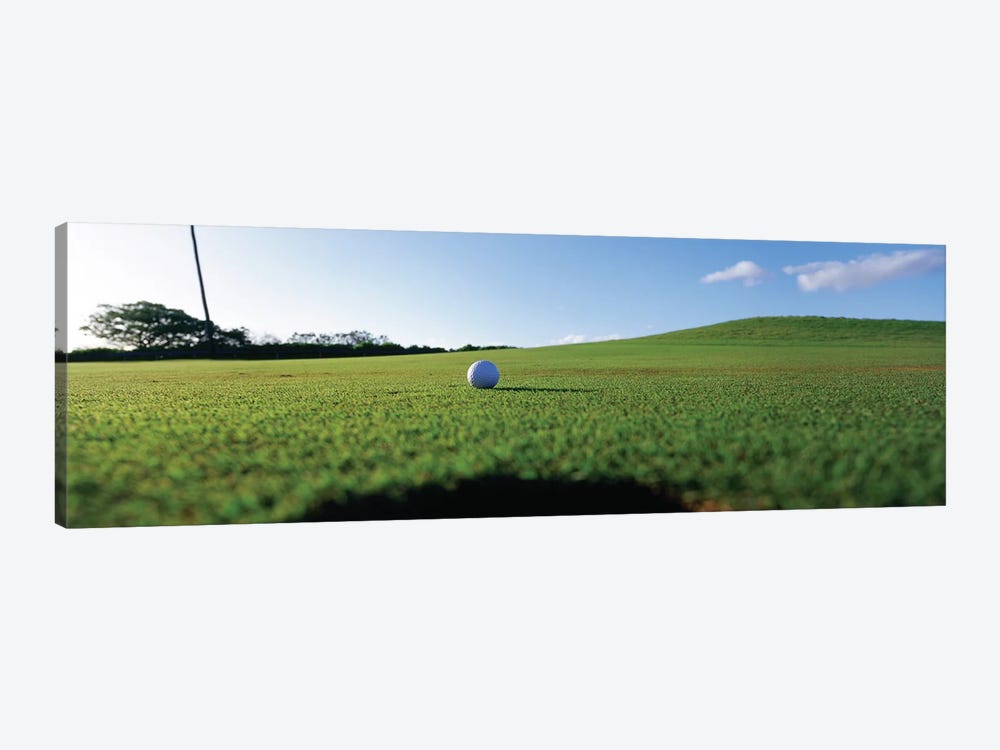 Golf Ball Entering The Hole, Kanapali, Hawaii, USA by Panoramic Images 1-piece Canvas Art Print