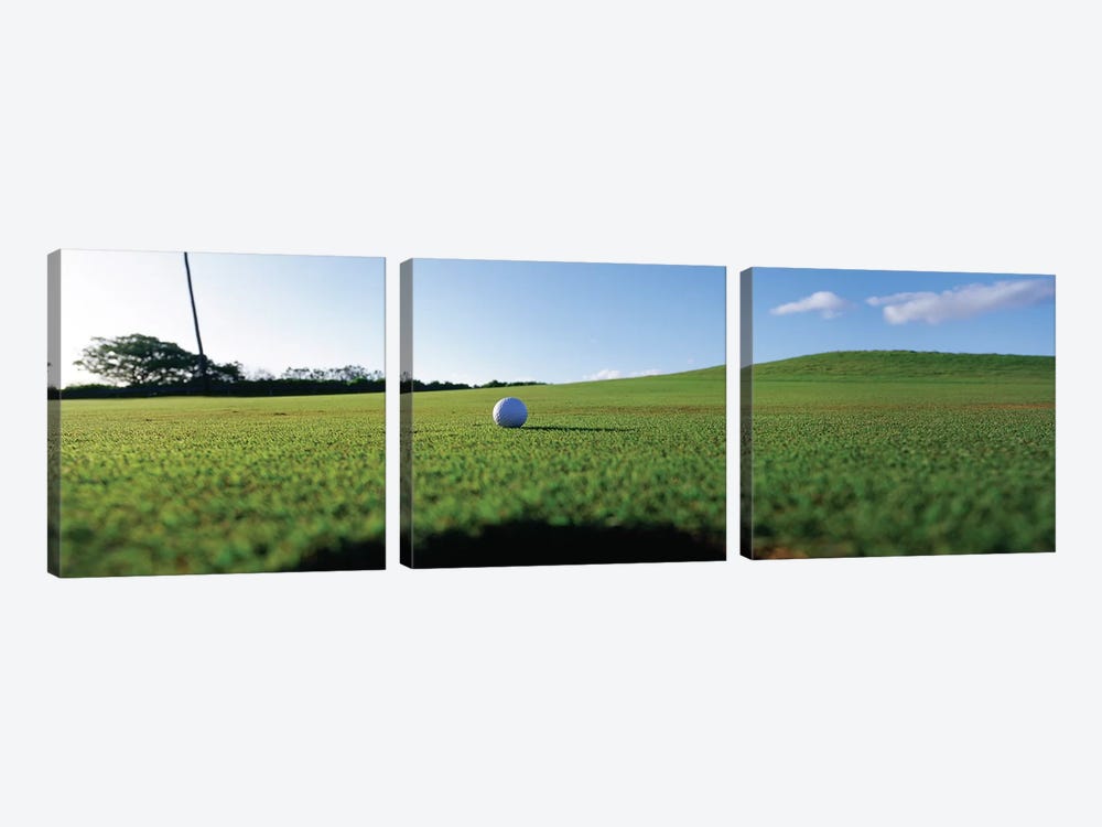 Golf Ball Entering The Hole, Kanapali, Hawaii, USA by Panoramic Images 3-piece Canvas Print