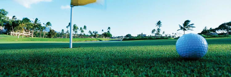 Close Up Golf Ball And Hole, Hawaii, USA