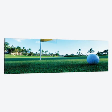 Close Up Golf Ball And Hole, Hawaii, USA Canvas Print #PIM12241} by Panoramic Images Canvas Print