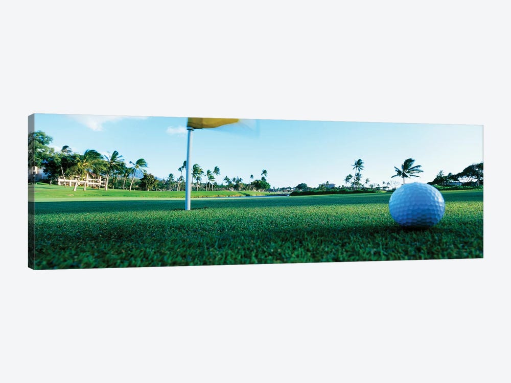 Close Up Golf Ball And Hole, Hawaii, USA by Panoramic Images 1-piece Canvas Wall Art