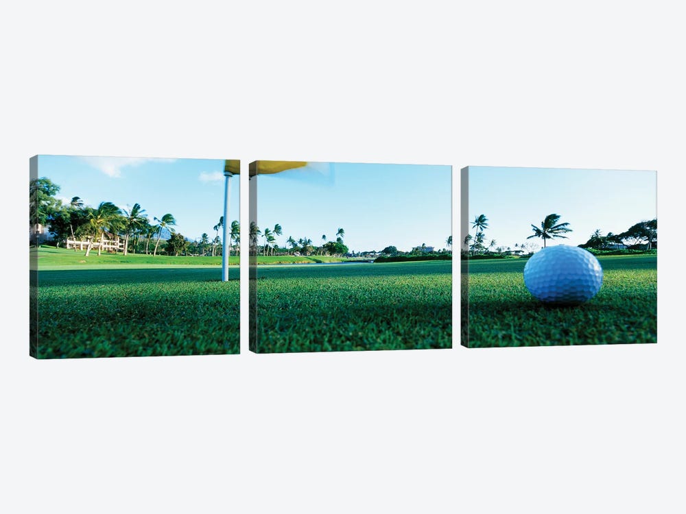 Close Up Golf Ball And Hole, Hawaii, USA by Panoramic Images 3-piece Canvas Art