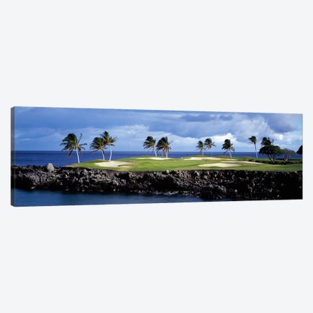 Tropical Palm Tree Laden Green, Hawaii, USA Canvas Print #PIM12244} by Panoramic Images Canvas Artwork