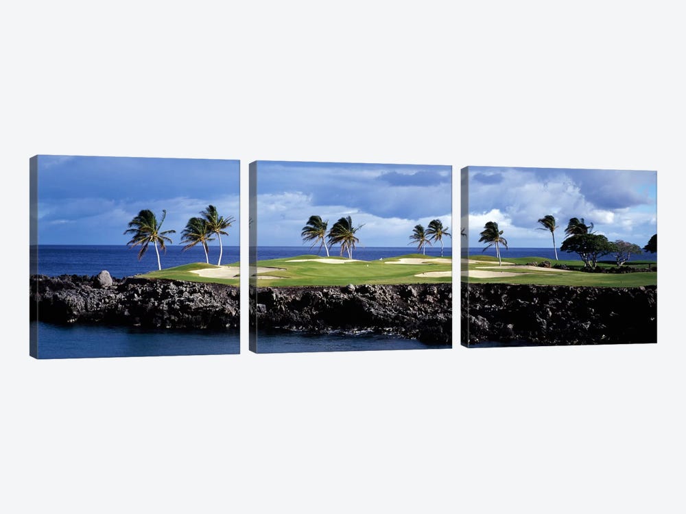 Tropical Palm Tree Laden Green, Hawaii, USA by Panoramic Images 3-piece Art Print