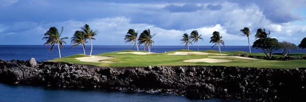 Hawaii: Tropical Palm Tree Laden Green, Hawaii, USA by Panoramic Images