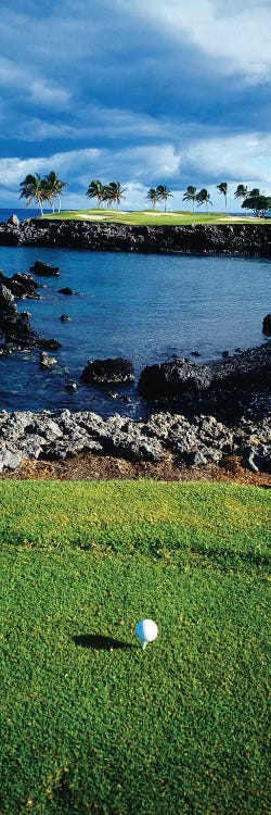 High angle view of a golf ball on a tee in a golf Course, Hawaii, USA