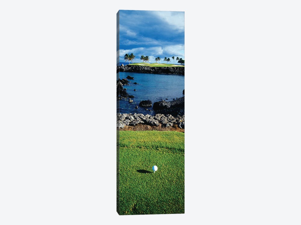 High angle view of a golf ball on a tee in a golf Course, Hawaii, USA by Panoramic Images 1-piece Canvas Wall Art