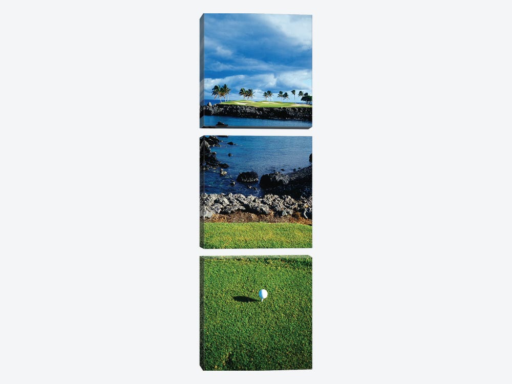 High angle view of a golf ball on a tee in a golf Course, Hawaii, USA by Panoramic Images 3-piece Canvas Artwork