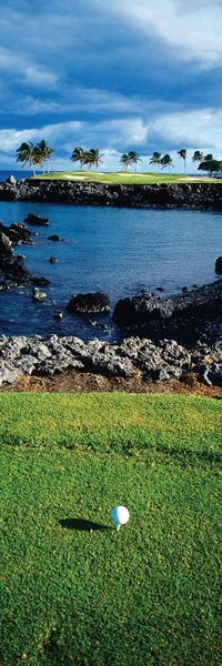 Golf: High angle view of a golf ball on a tee in a golf Course, Hawaii, USA by Panoramic Images