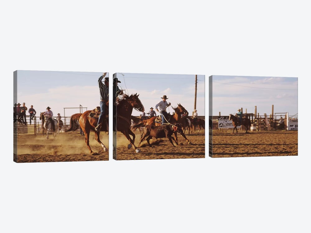 Cowboys Roping A Calf, North Dakota, USA by Panoramic Images 3-piece Canvas Artwork