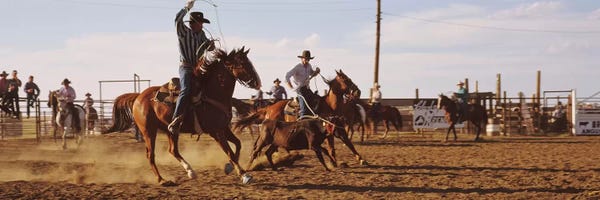North Dakota: Cowboys Roping A Calf, North Dakota, USA by Panoramic Images